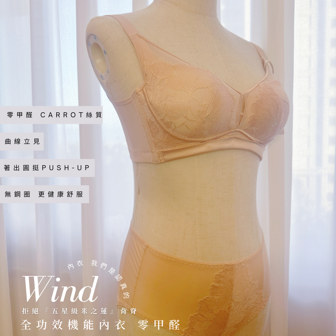 《 Wind 》曲線空氣棉杯 馬甲形超修背包肉  提胸PushUp   健康無鋼圈防乳腺阻塞  內衣套裝