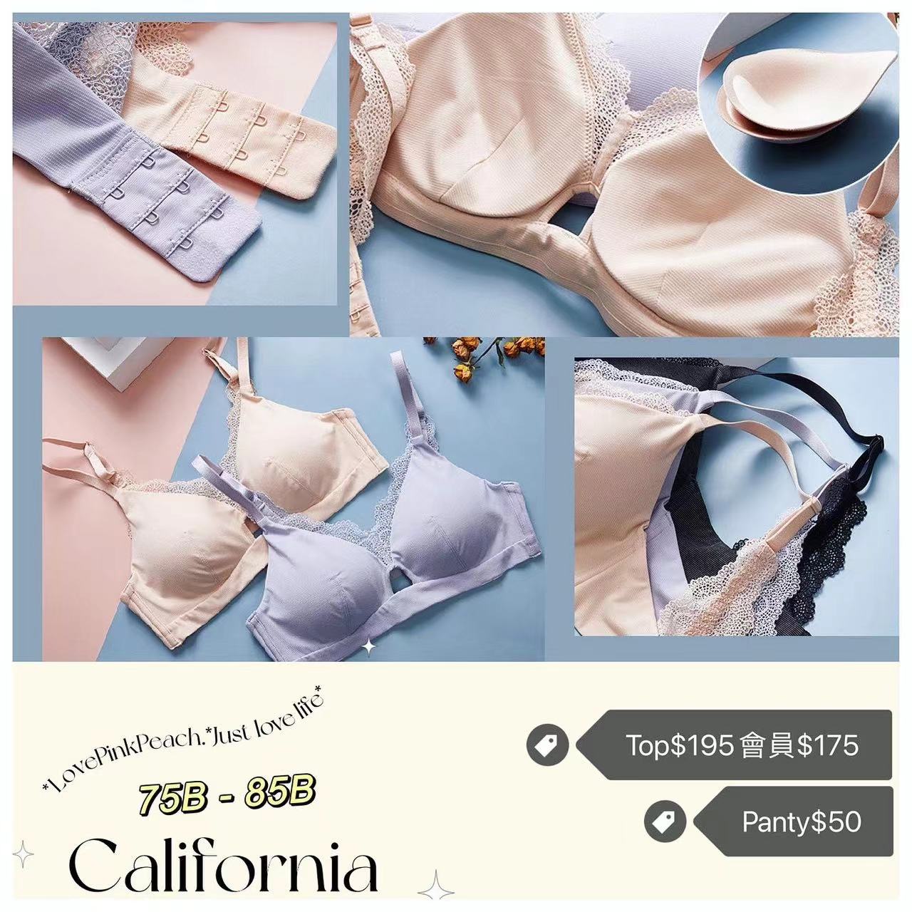 《 California 》零負擔 超輕薄 零感體感 法式輕奢 無鋼圈 Bralette 內衣